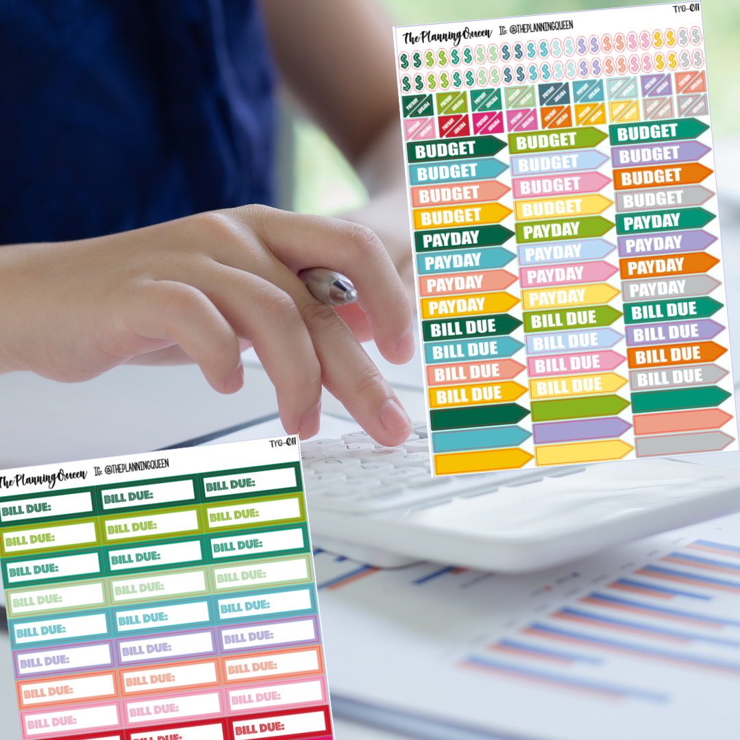 TPQ-011 Budget Stickers - 6 Sheet Set of 440+ Unique Budget Planner Stickers for Your Monthly, Weekly & Daily Planner, Budget Planner, Calendar or Journal, Budget Sticker Book (Budget Pack)